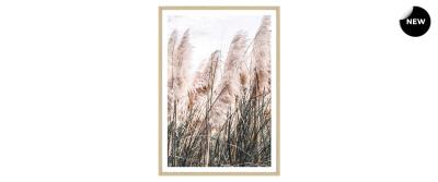 In The Wind
